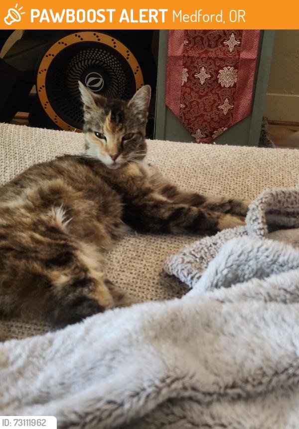 Found/Stray Female Cat last seen 2nd and Oakdake, Medford, OR 97501