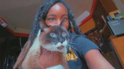 Reunited Male Cat last seen Off of state route 18, Kent, OH 44240