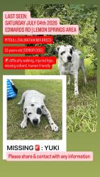 Lost Male Dog last seen EDWARDS RD, JUNIPER CREEK RD, NICHOLSON RD, Lee County, NC 27332
