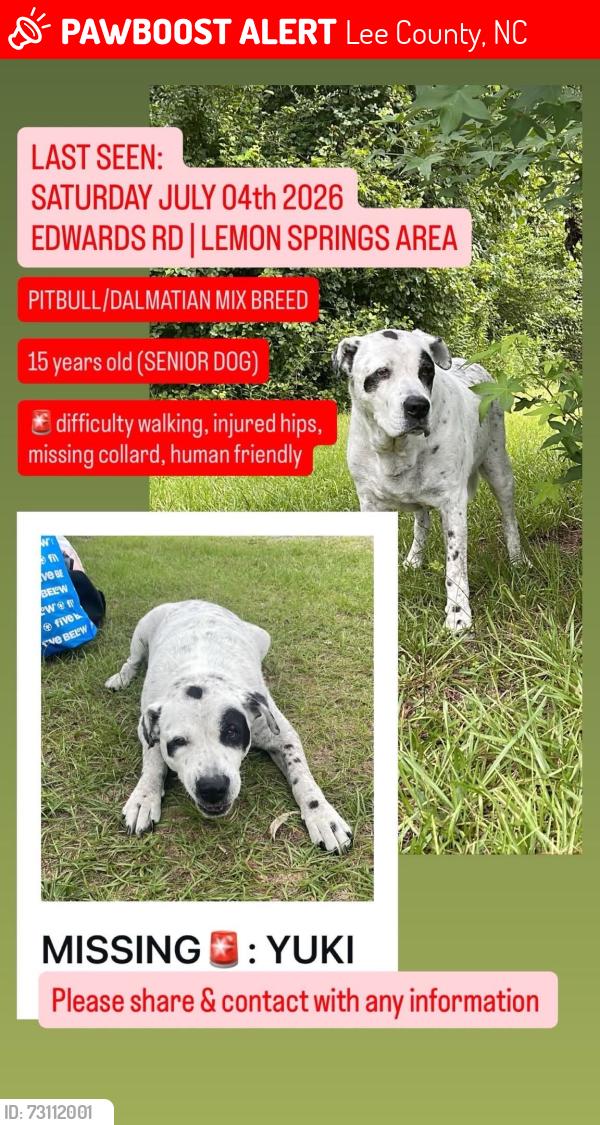 Lost Male Dog last seen EDWARDS RD, JUNIPER CREEK RD, NICHOLSON RD, Lee County, NC 27332