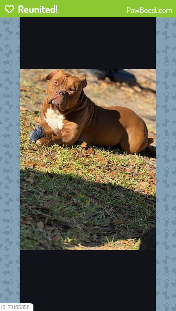 Reunited Male Dog last seen County rd 1125 Greenbriar rd 31 west, Tyler, TX 75704