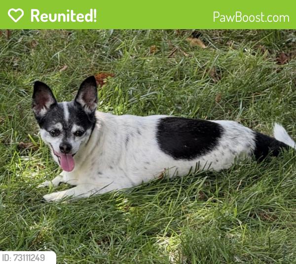 Reunited Female Dog last seen Beckett Ridge neighborhood of West Chester, Beckett Ridge, OH 45069
