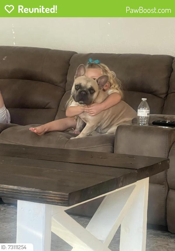 Reunited Male Dog last seen Pipeline Rd, Hurst, TX 76053