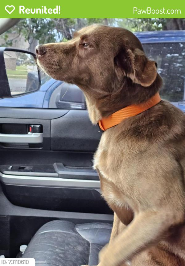 Reunited Female Dog last seen Douglas and MacArthur Watauga TX, Watauga, TX 76148