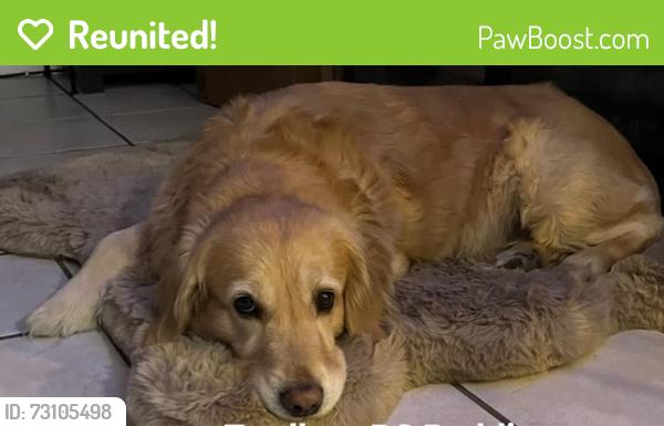 Reunited Male Dog last seen Bell Gardens, Bell Gardens, CA 90201