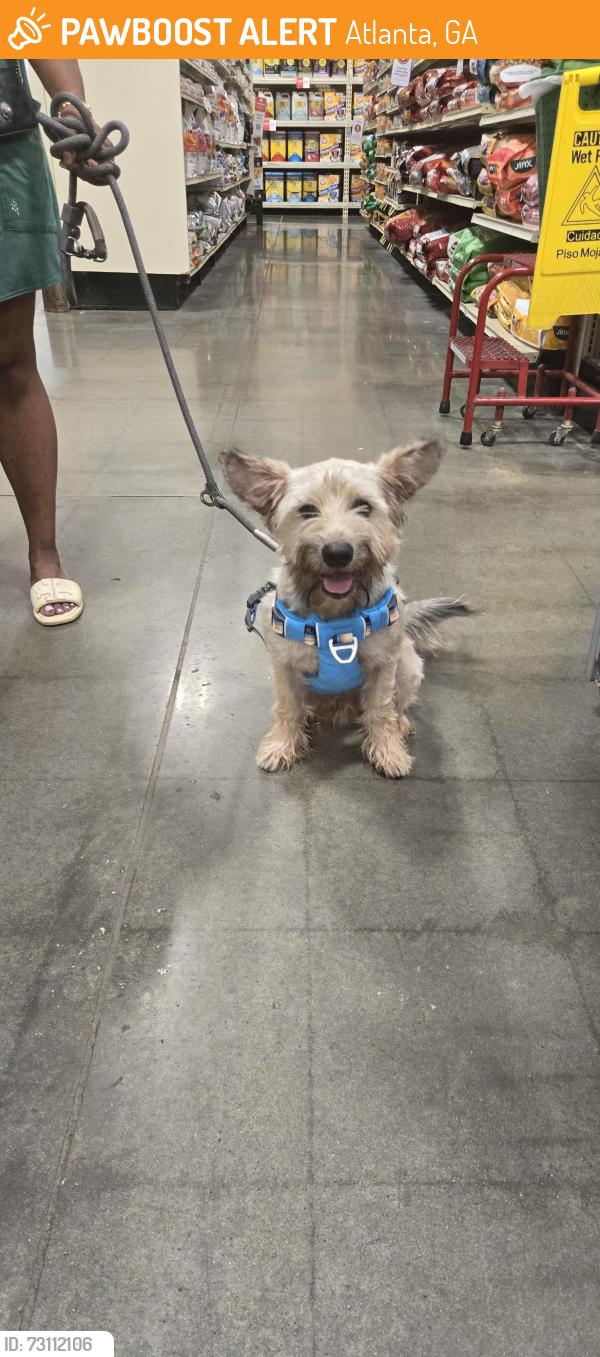 Found/Stray Male Dog last seen Fulton County, Atlanta, GA 30336