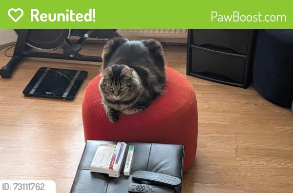 Reunited Male Cat last seen CR7 7NE, Greater London, England CR7 7NE