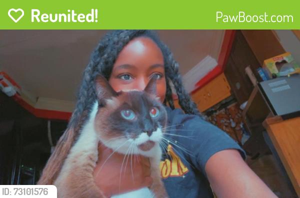 Reunited Male Cat last seen Off of state route 18, Kent, OH 44240