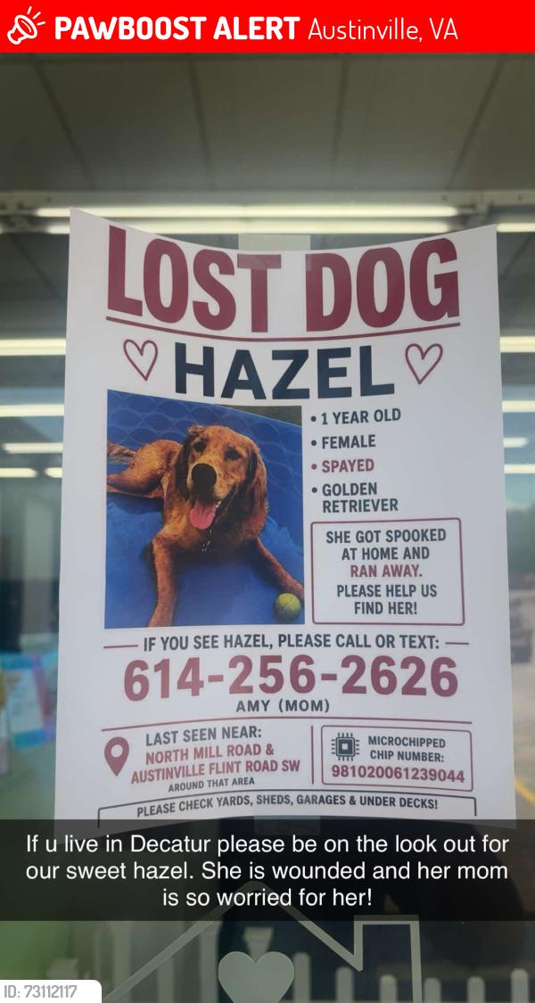 Lost Female Dog last seen NORTH MILL ROAD & 口 MICROCHIPPED AUSTINVILLE FLINT ROAD SW, Austinville, VA 24312