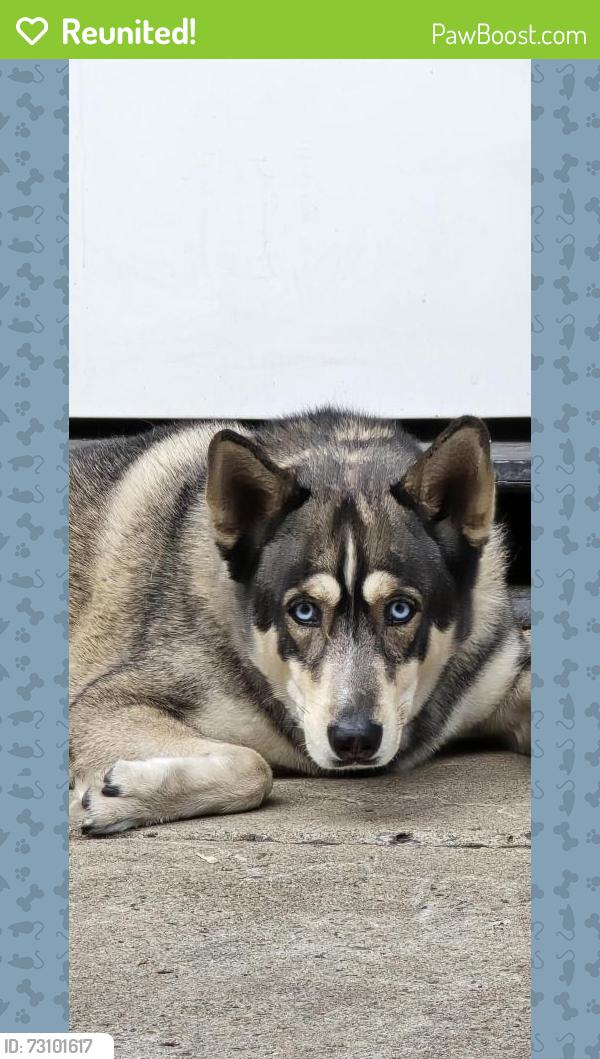 Reunited Male Dog last seen Massachusetts, La Mesa, CA 91941