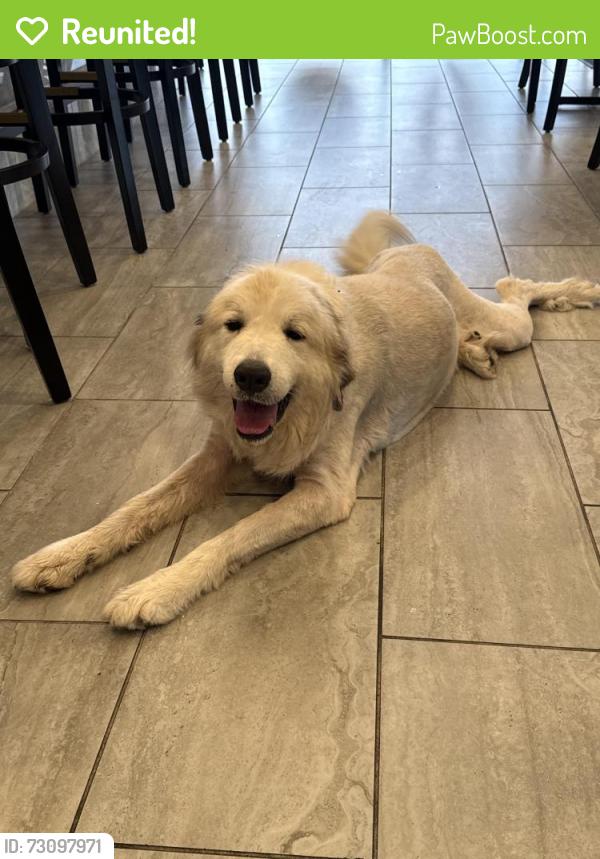 Reunited Female Dog last seen Indian trail and hwy 29, Lilburn, GA 30047