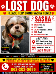 Reunited Female Dog last seen Near oak grove, Acworth, GA 30102