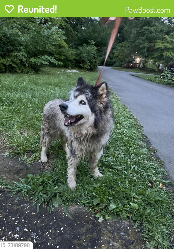 Reunited Unknown Dog last seen Sunoco, Johnson City, TN 37601