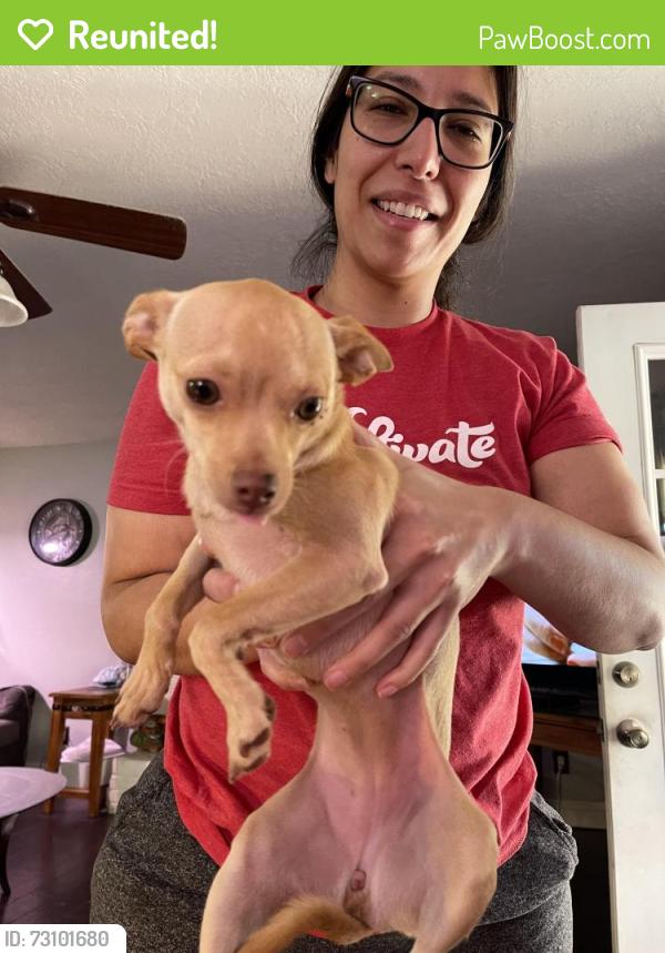 Reunited Female Dog last seen Tesuqe and painted pony trail, Albuquerque, NM 87120
