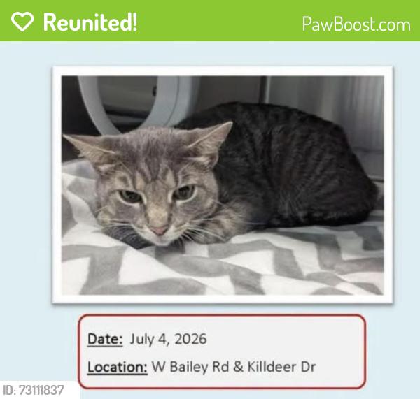 Reunited Unknown Cat last seen Maplebrook 2 on Bailey Road and Killdeer, Naperville, IL 60565