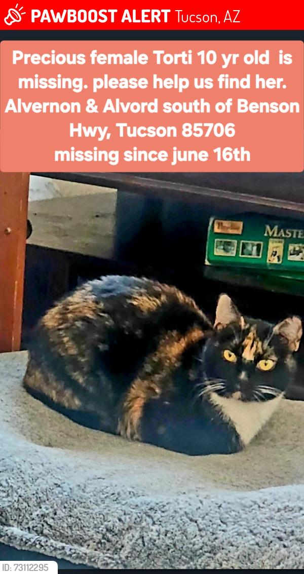 Lost Female Cat last seen Near s nantac rim Dr, Tucson, AZ 85706