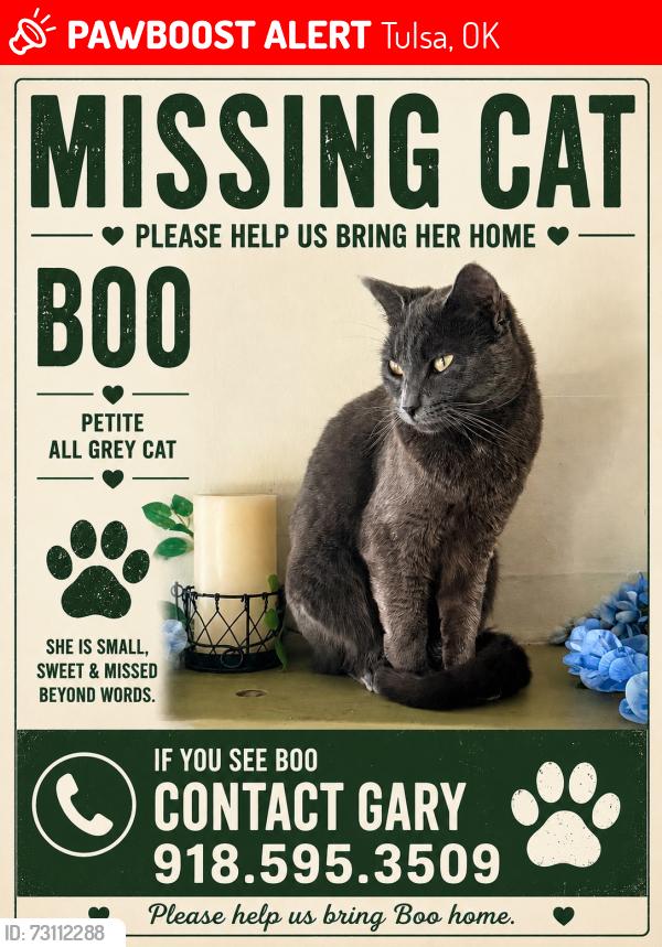 Lost Female Cat last seen 16th and Indianapolis, Tulsa, OK 74112