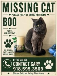 Lost Female Cat last seen 16th and Indianapolis, Tulsa, OK 74112