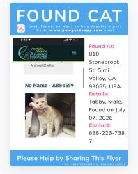 Reunited Male Cat last seen Stonebrook and First Streets, Simi Valley, CA 93065