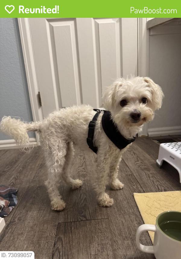 Reunited Female Dog last seen Ramseier Park, Greeley, CO 80631