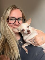 Reunited Male Dog last seen Tenth and Olney, Indianapolis, IN 46201