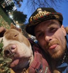 Lost Female Dog last seen 11th st north, Fargo, ND 58102