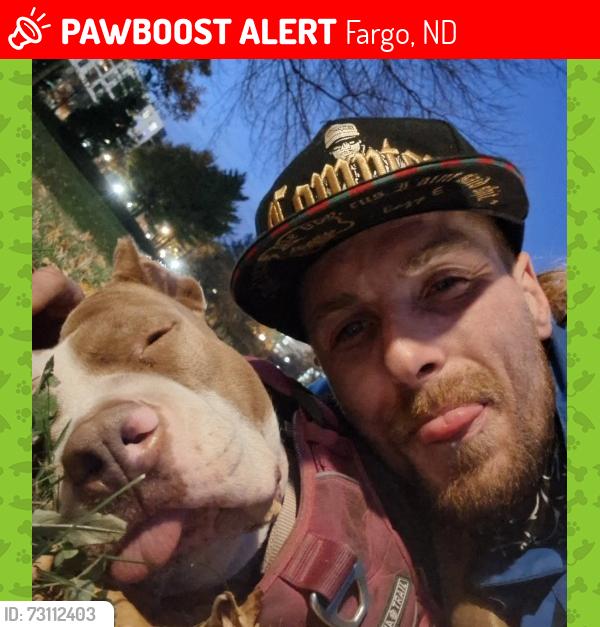 Lost Female Dog last seen 11th st north, Fargo, ND 58102