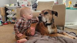 Lost Male Dog last seen Wesley Heights Elementary school, Olivia Lane & Winfield Lane, Columbus, GA 31907