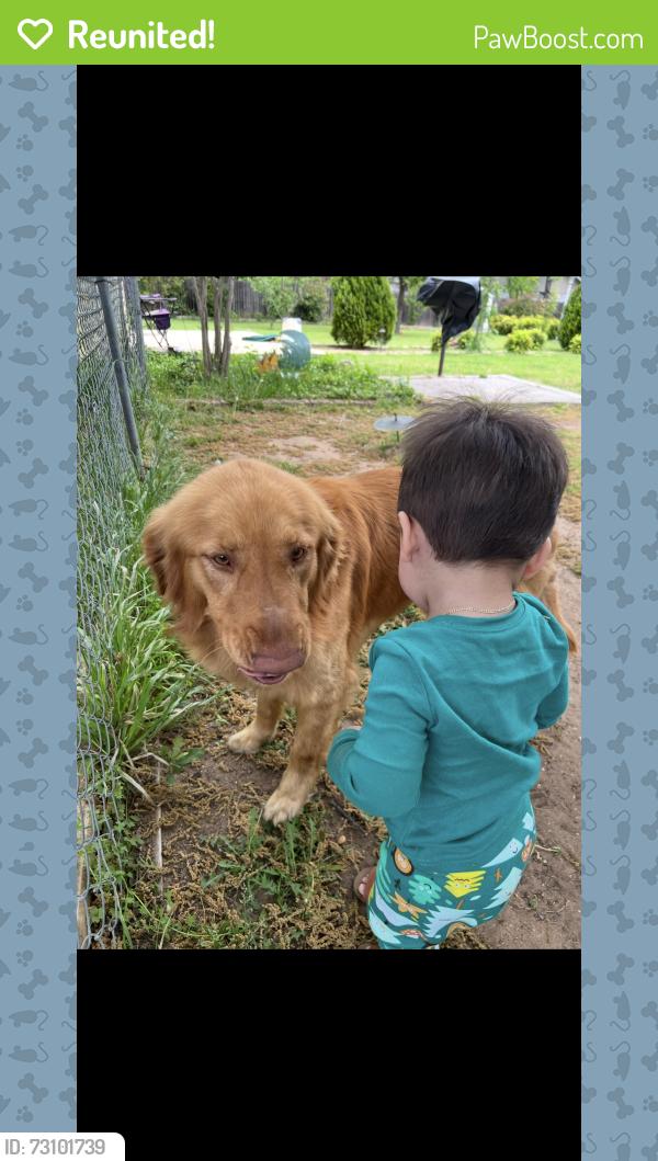 Reunited Male Dog last seen NE 28th, Haltom Rd, Beach st, Belknap, Haltom City, TX 76117
