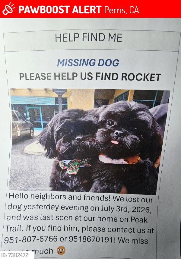 Lost Male Dog last seen Goetz, Perris, CA 92570