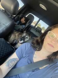 Reunited Male Dog last seen Havasu Road and Seneca Road, Apple Valley, CA 92395