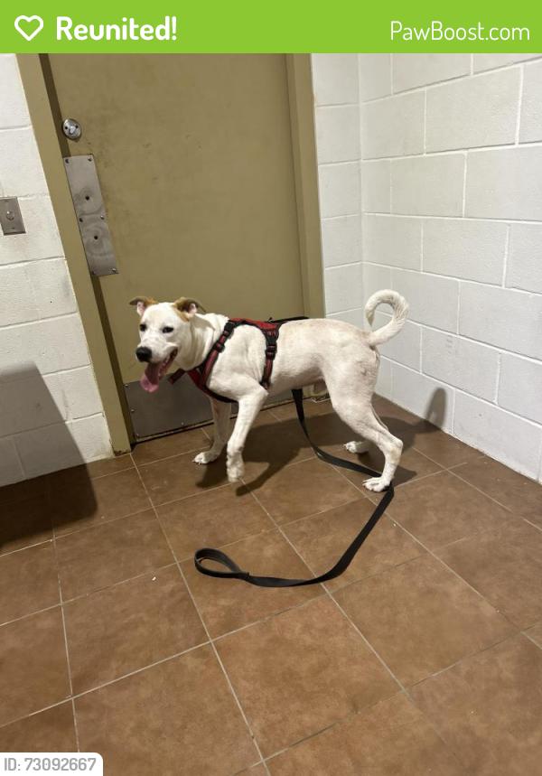 Reunited Male Dog last seen Near Chandler Dr, Baytown, TX 77521, USA, Baytown, TX 77521