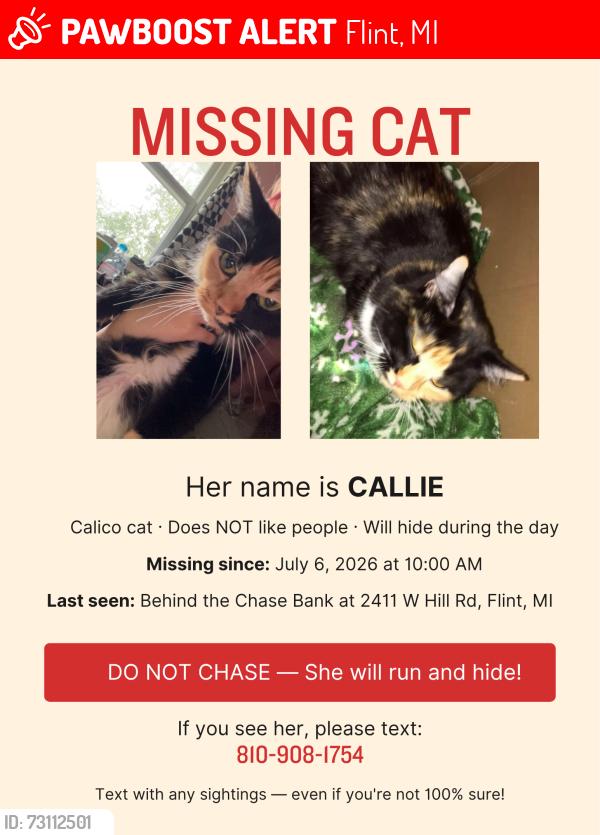 Lost Female Cat last seen Hill Rd and Hill 23 Dr, Flint, MI 48507