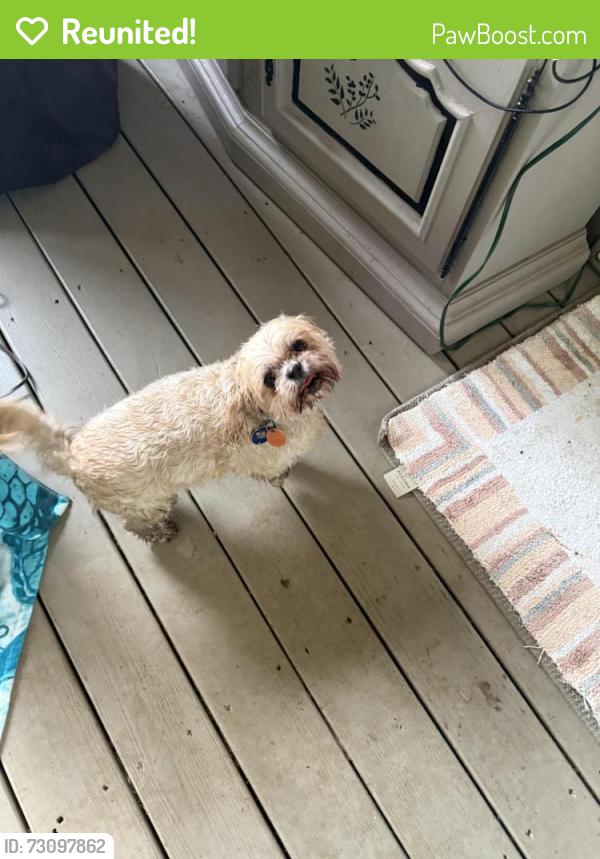 Reunited Male Dog last seen Olde Sycamore, Mint Hill, NC 28227