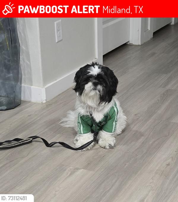 Lost Male Dog last seen Near River Bend Rd, Midland, TX 79705