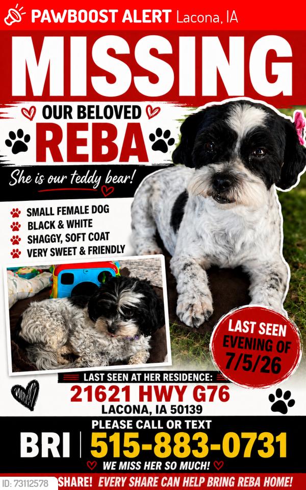 Lost Female Dog last seen Williams machine shop, Lacona, IA 50139