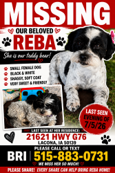 Lost Female Dog last seen Williams machine shop, Lacona, IA 50139
