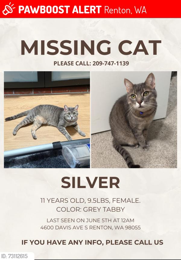 Lost Female Cat last seen Near Davis Ave S, Renton, WA 98055
