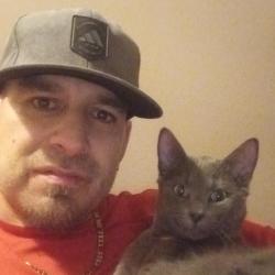 Lost Male Cat last seen Northgate Walmart 97th street, Edmonton, AB 