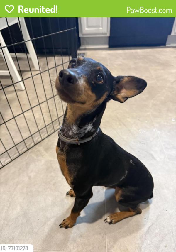 Reunited Male Dog last seen Old Niles Ferry rd near National Fitness, Maryville, TN 37804