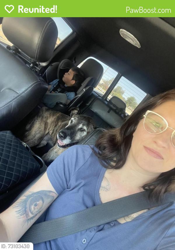 Reunited Male Dog last seen Havasu Road and Seneca Road, Apple Valley, CA 92395