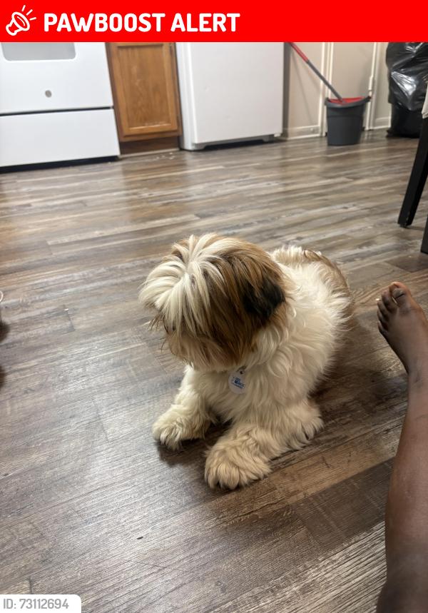 Lost Male Dog last seen Castle Ridge ct , Southern Gateway, VA 22406