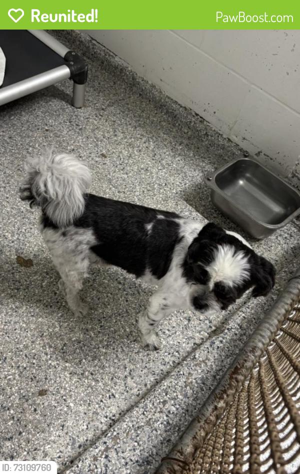 Reunited Unknown Dog last seen Port St Lucie, Port St. Lucie, FL 34986