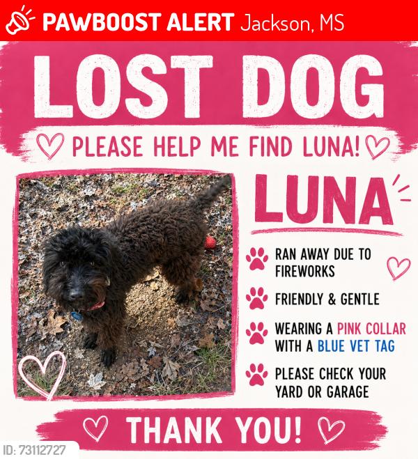 Lost Female Dog last seen State st, Jackson, MS 39206