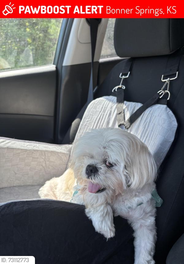 Lost Female Dog last seen Bonner springs, KS, Bonner Springs, KS 66012