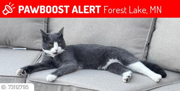Lost Male Cat last seen 180th and Fenway, Forest Lake, MN 55025
