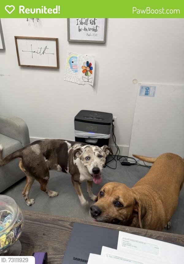 Reunited Unknown Dog last seen LINKS, Grand Prairie, TX 75050