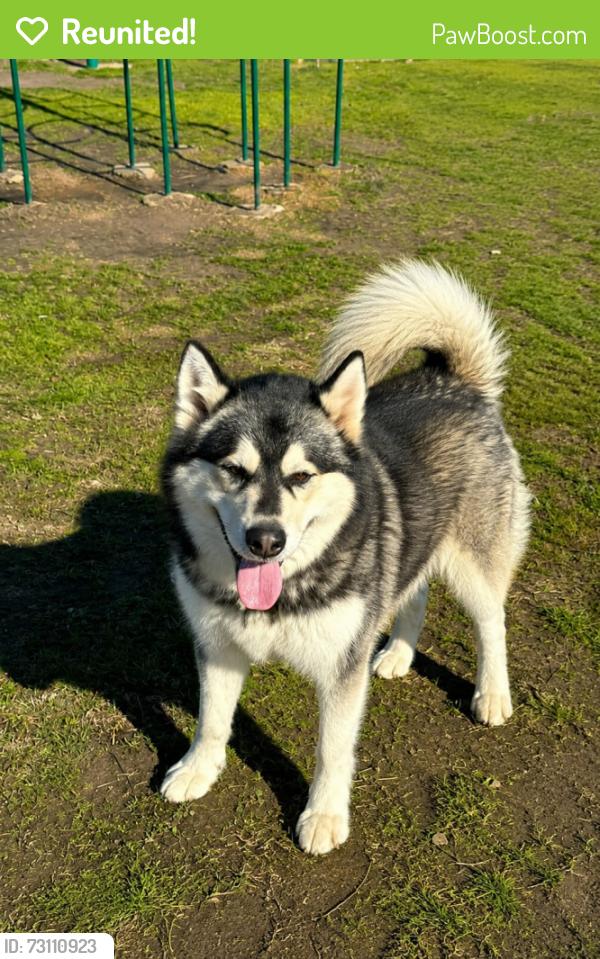 Reunited Male Dog last seen Oak springs loop, Mabank, TX 75147