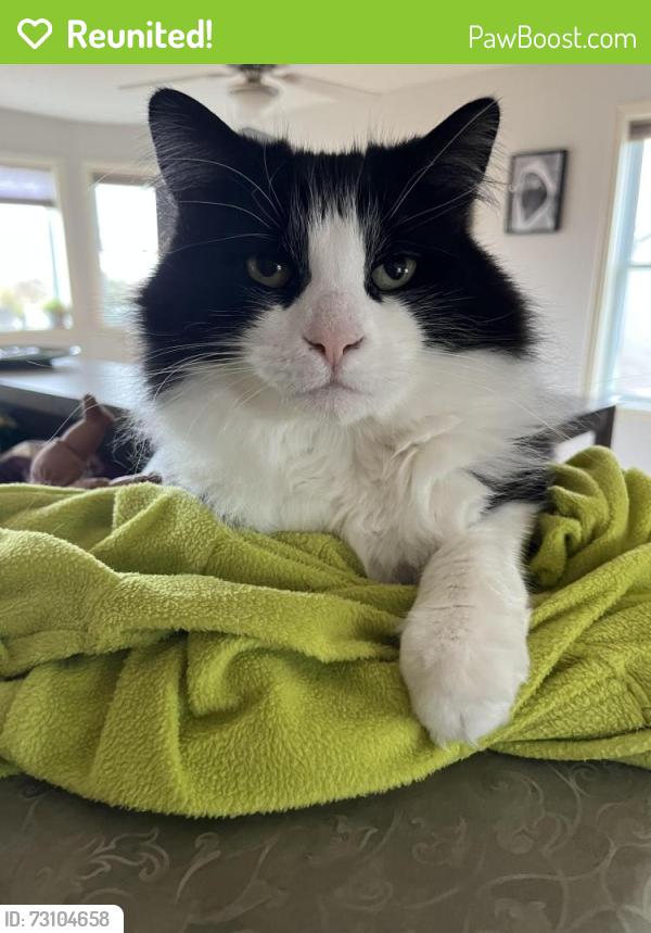 Reunited Male Cat last seen Keltic Dr & Cambridge Dr, Lawrencetown, NS B2Z 1M7