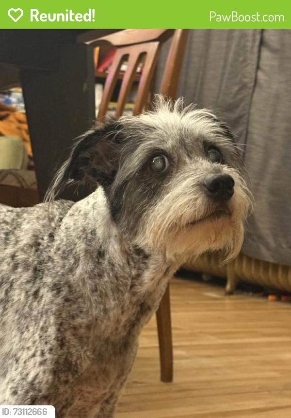 Reunited Female Dog last seen Near Randolph Ave, St Paul, MN 55102, USA, Saint Paul, MN 55102